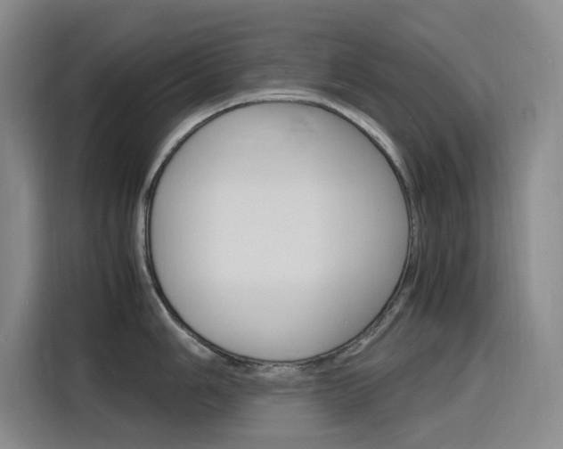 X0000116141006200911230928
