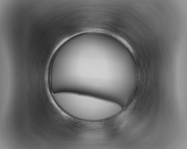 X0000116141007200911230928