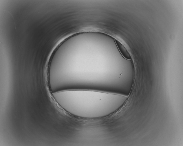X0000116141008200911230928