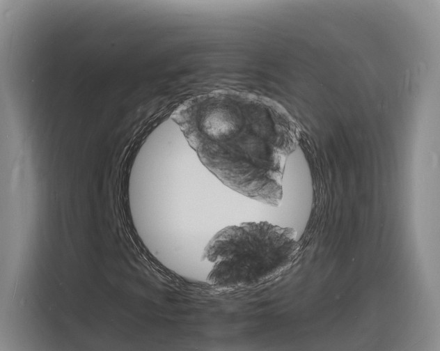 X0000116141009200911230927