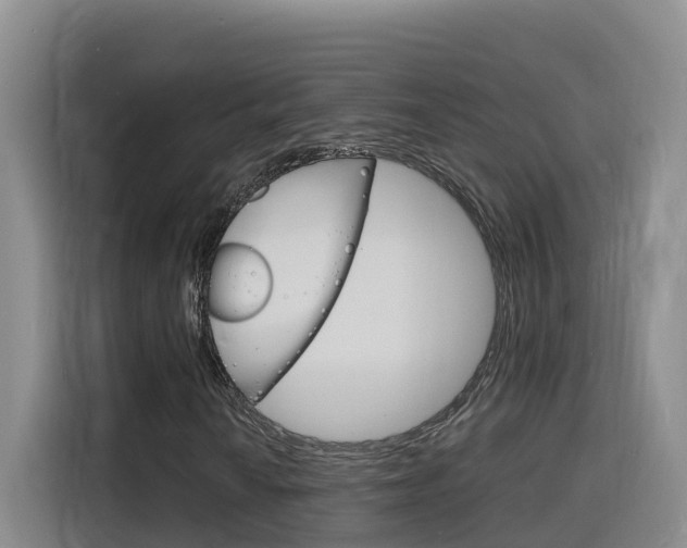 X0000116141010200911230927
