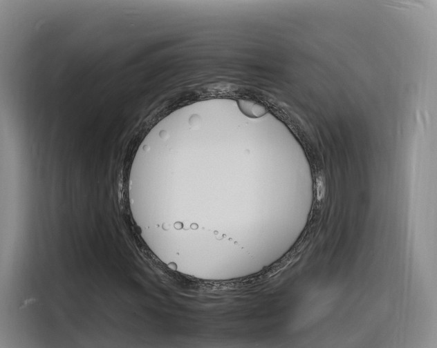 X0000116141011200911230927