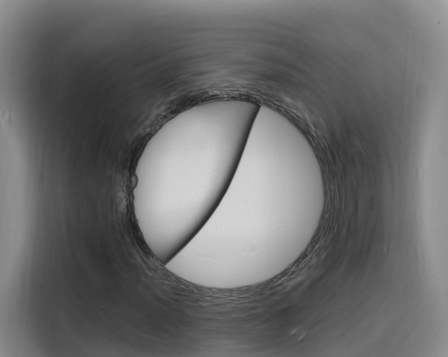 X0000116141012200911230927