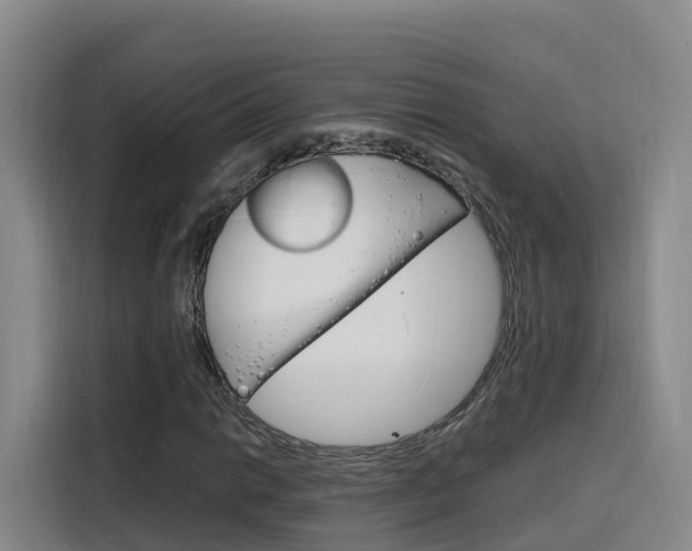 X0000116141014200911230927