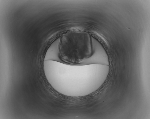 X0000116141015200911230927