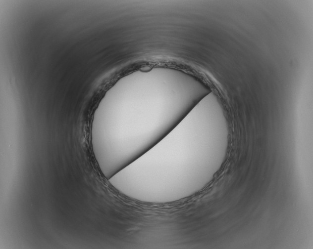 X0000116141016200911230927