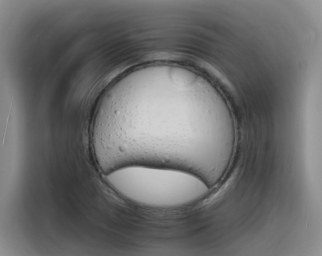 X0000116141025200911230927