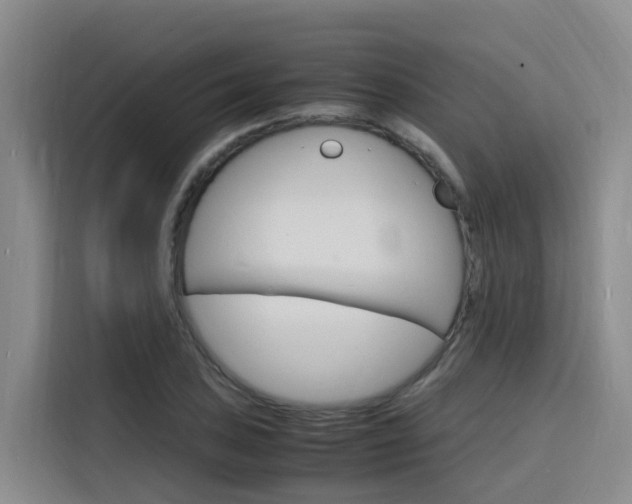 X0000116141027200911230927