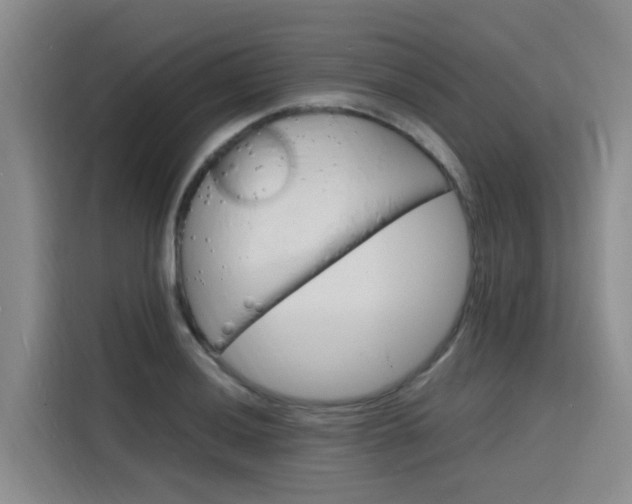 X0000116141036200911230927