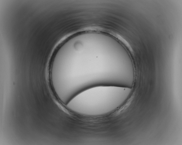 X0000116141037200911230927