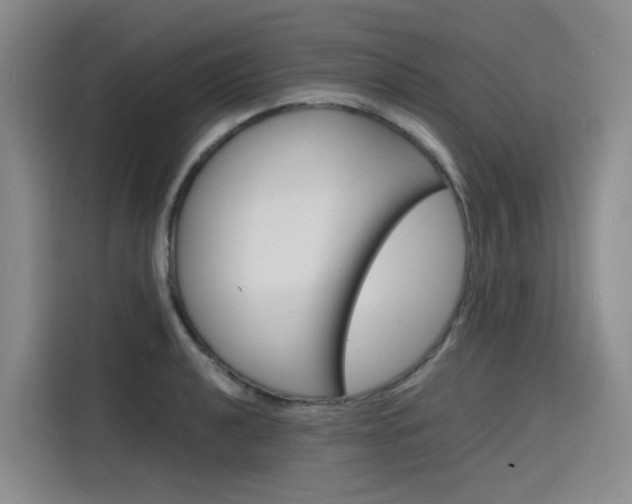 X0000116141040200911230927
