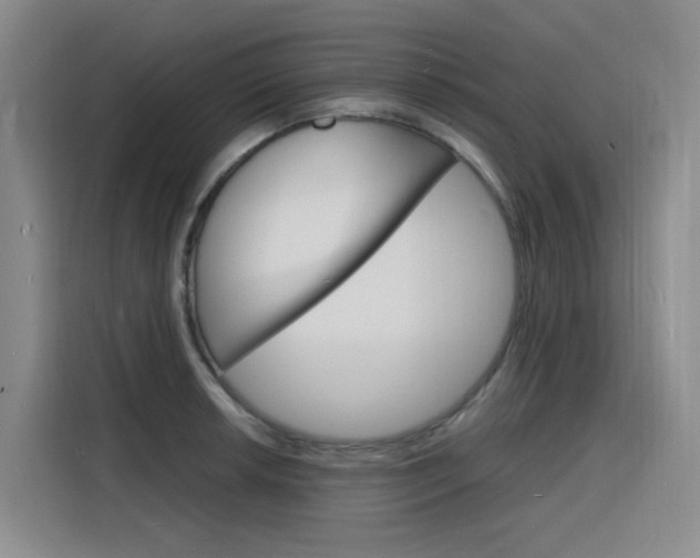 X0000116141042200911230927
