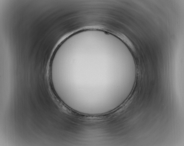 X0000116141044200911230928