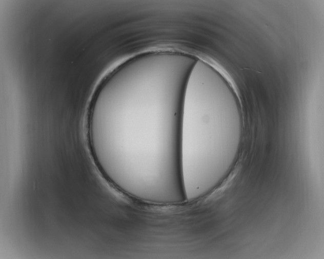 X0000116141045200911230928