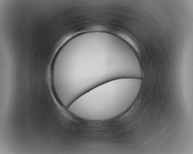 X0000116141047200911230928