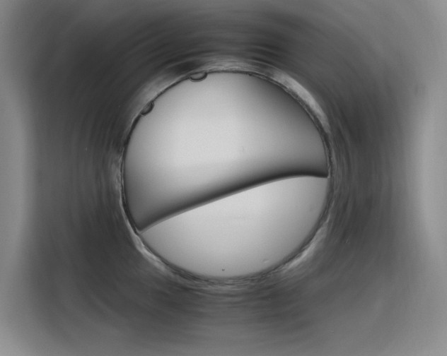 X0000116141049200911230928