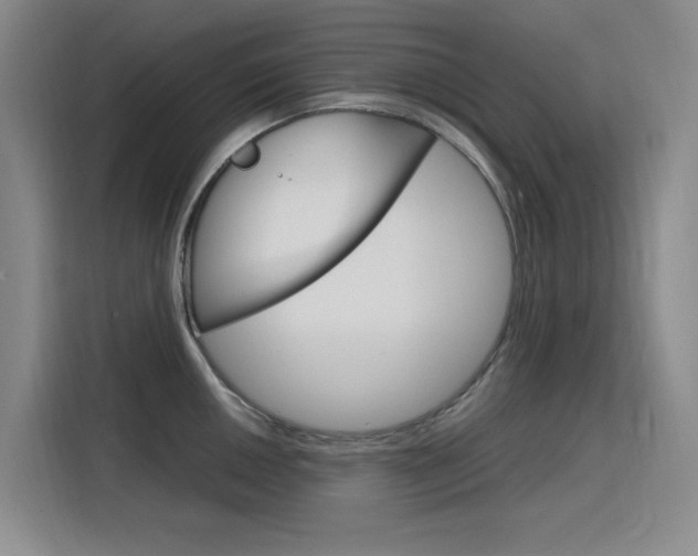X0000116141050200911230928