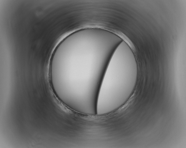 X0000116141052200911230928