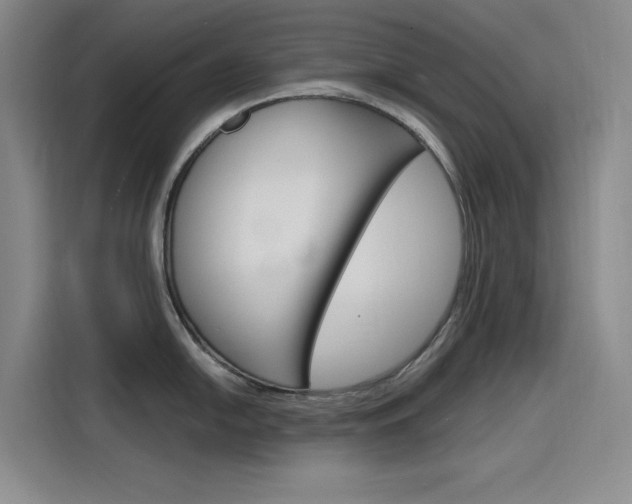 X0000116141054200911230928