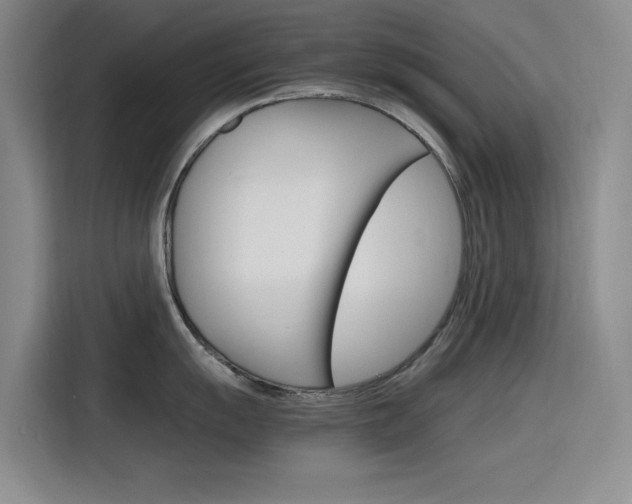X0000116141055200911230928