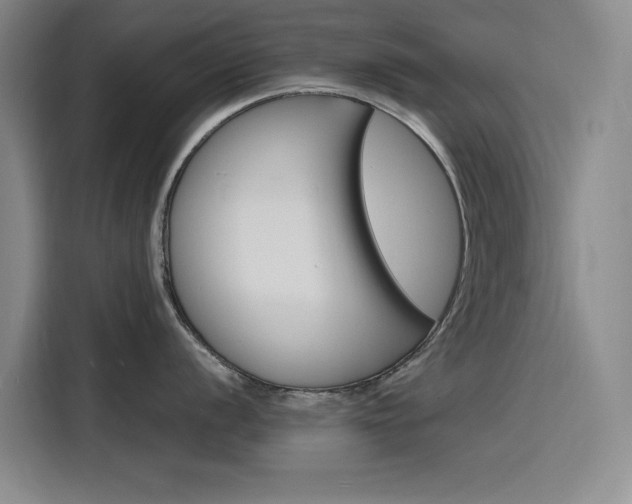 X0000116141056200911230928