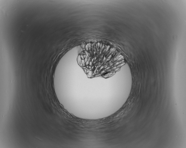 X0000116141057200911230927