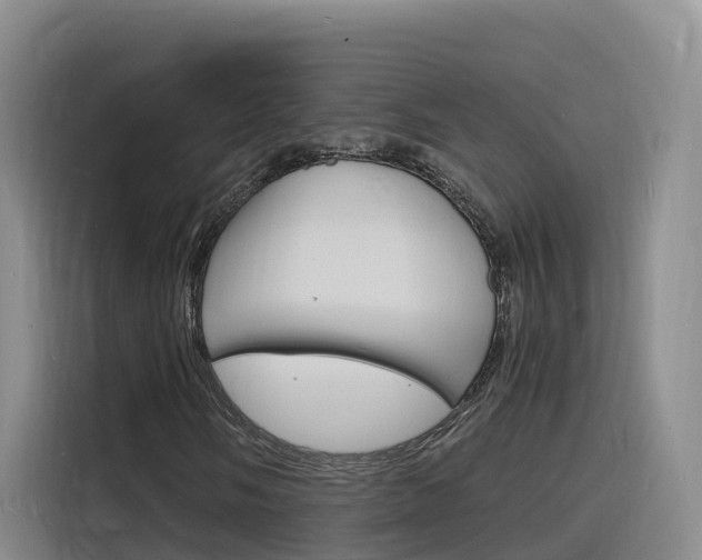 X0000116141058200911230927