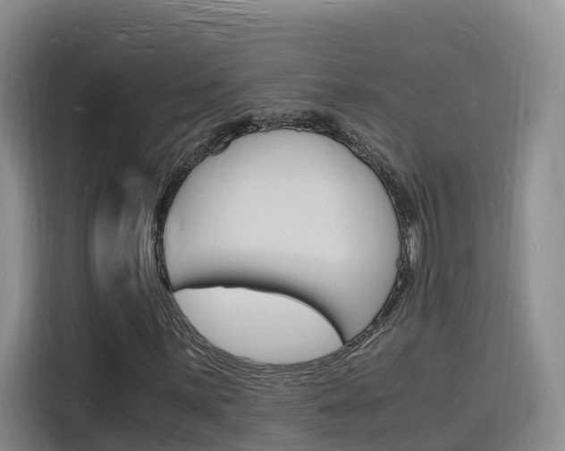 X0000116141059200911230927