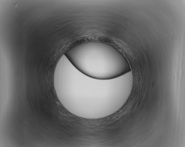 X0000116141060200911230927