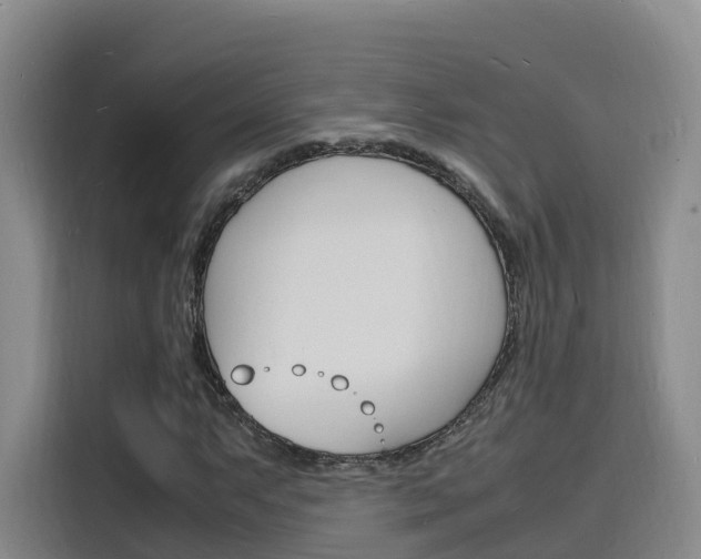 X0000116141063200911230927