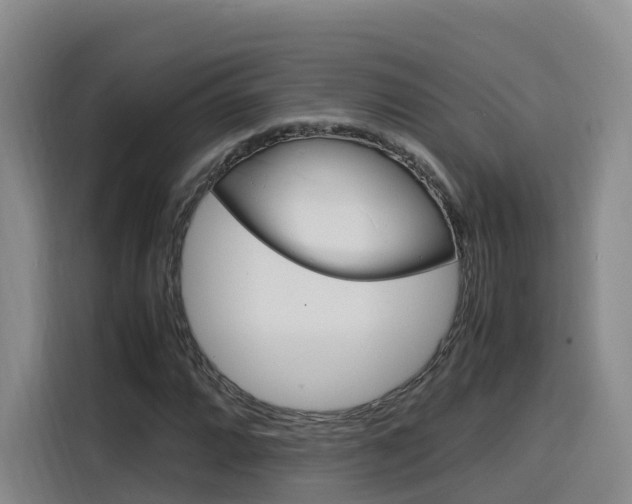 X0000116141064200911230927