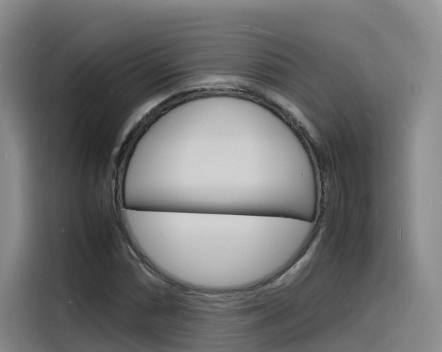 X0000116141066200911230927