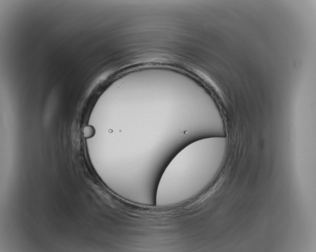X0000116141067200911230927