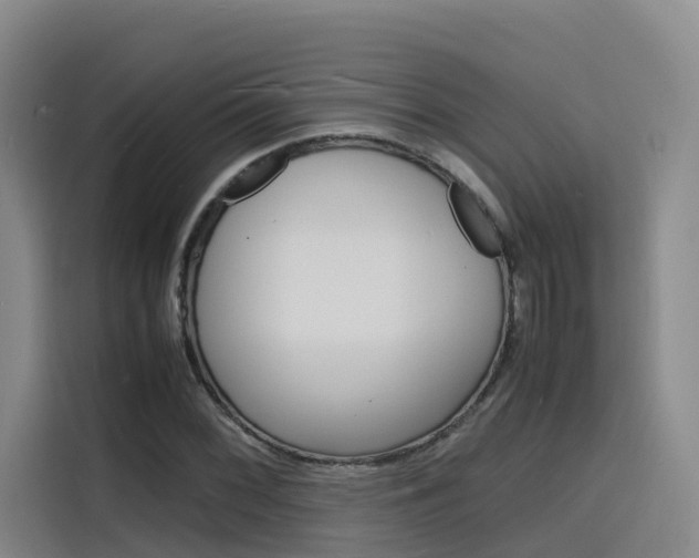 X0000116141068200911230927