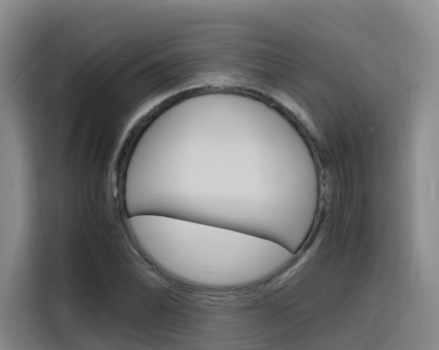 X0000116141070200911230927