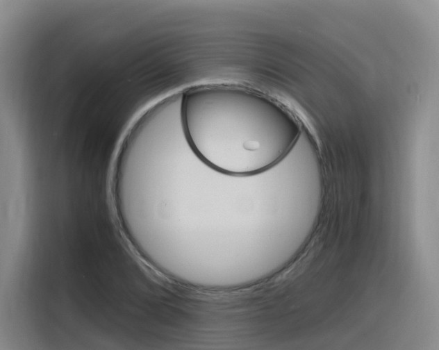 X0000116141072200911230927
