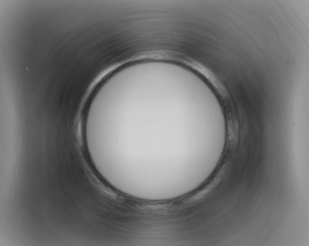 X0000116141078200911230927