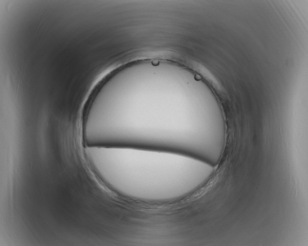 X0000116141079200911230927