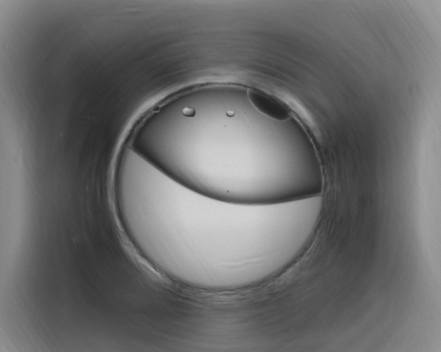 X0000116141080200911230927