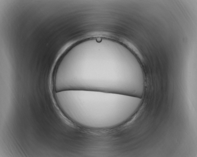 X0000116141082200911230927
