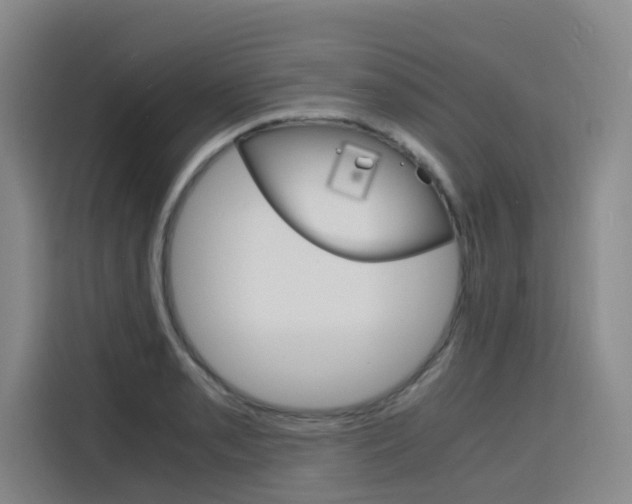 X0000116141085200911230927