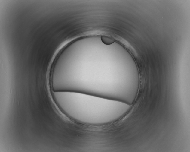 X0000116141086200911230927