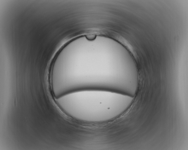 X0000116141091200911230927