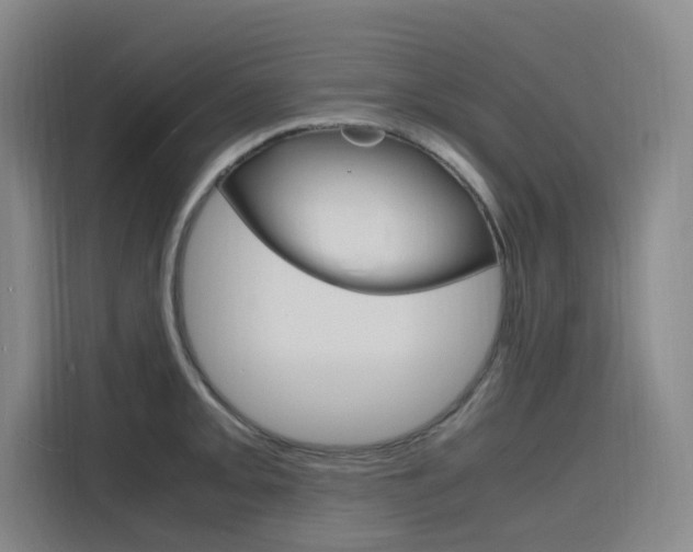 X0000116141093200911230927