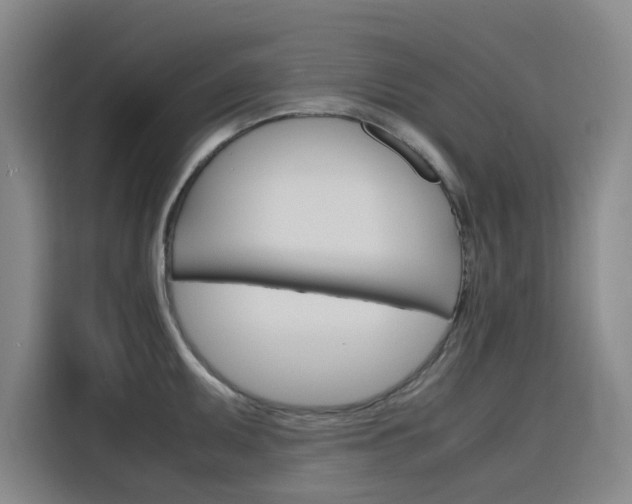 X0000116141095200911230927