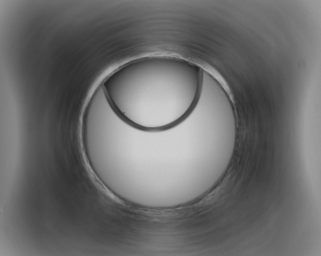 X0000116141096200911230927
