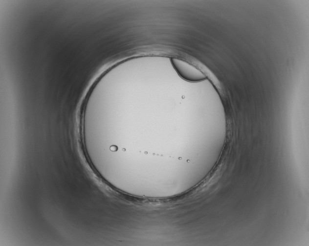 X0000116141099200911230926