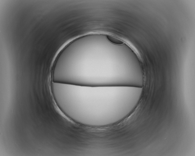 X0000116141100200911230926