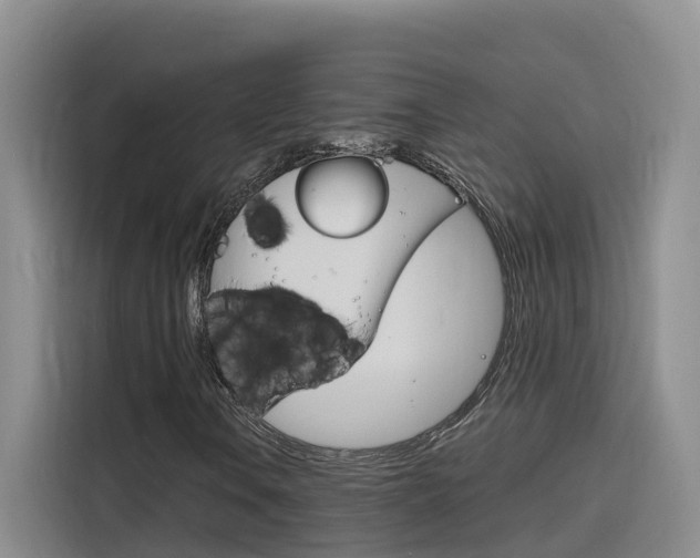 X0000116141106200911230926