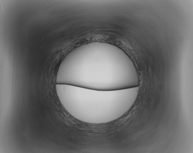 X0000116141109200911230926